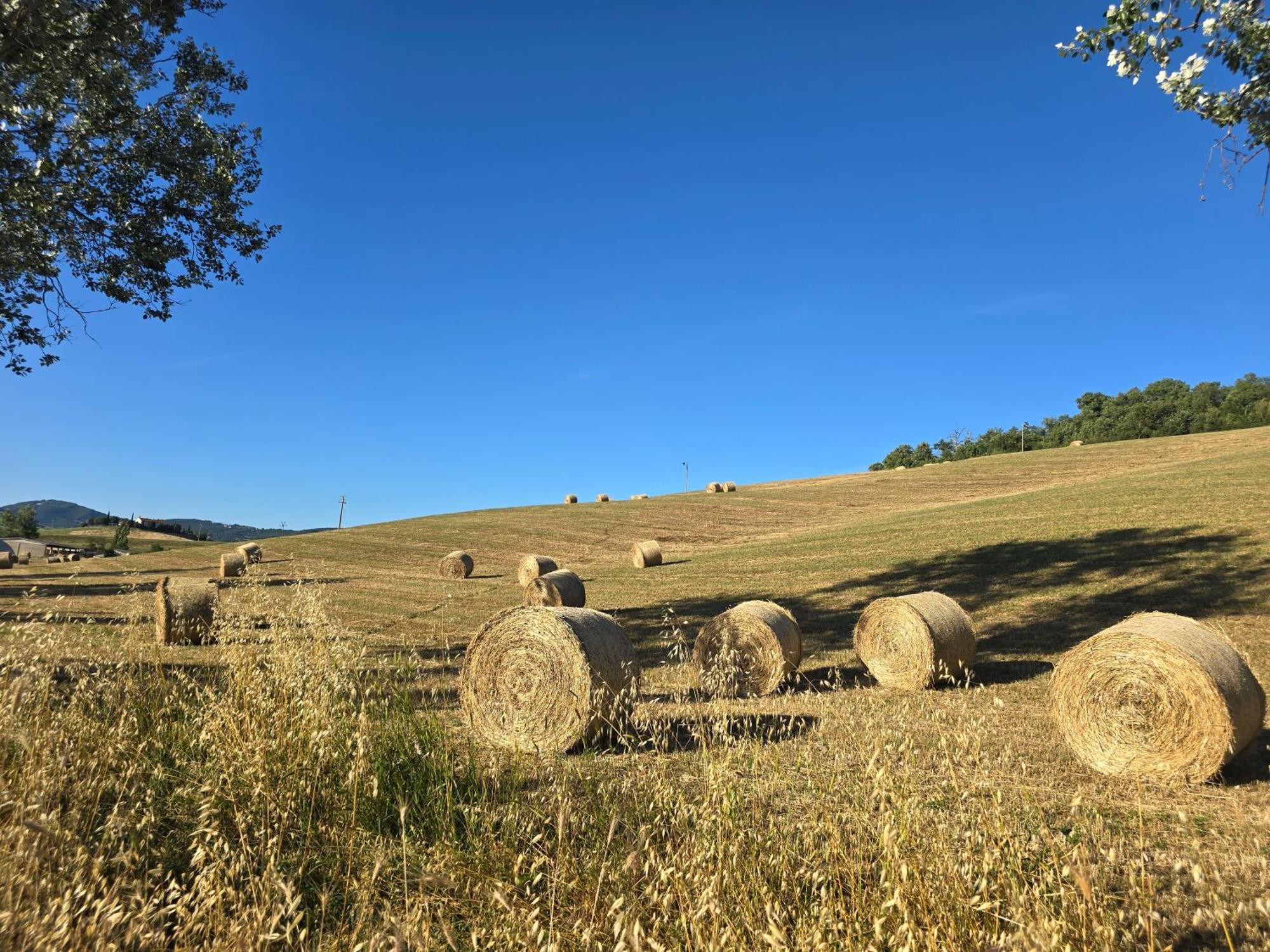 Finestra Della Val D'Orcia Apartment Contignano Luaran gambar